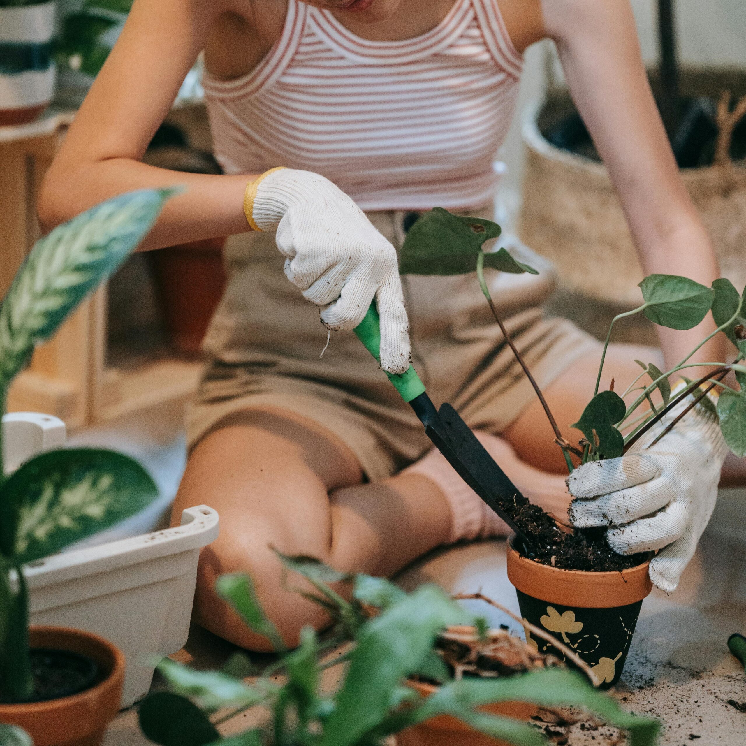 Contact Us At oikarstudio.in green